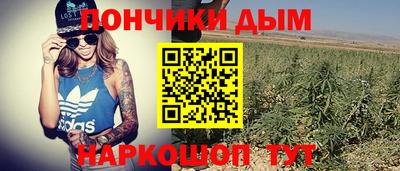 эйфоретик Славгород