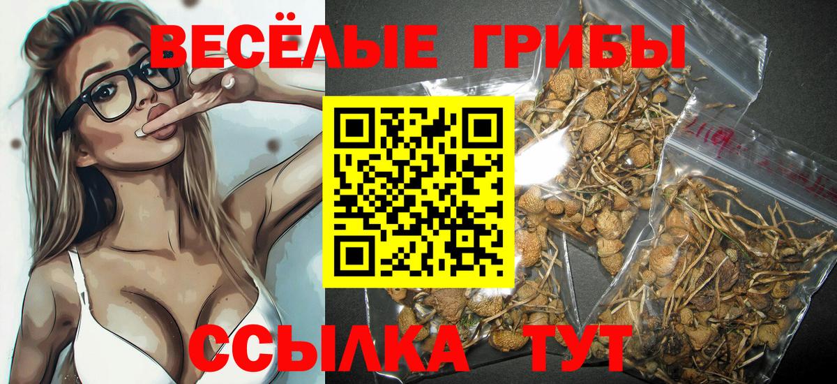 Малгобек  Галлюциногенные грибы мицелий  что такое   Псилоцибиновые грибы Psilocybine cubensis  Вход с VPN 